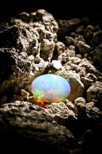 The new star of the opals - Welo Opal